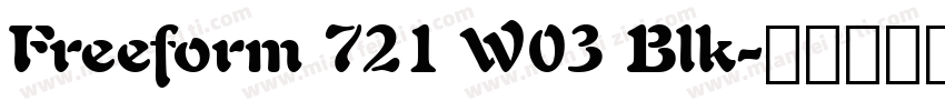 Freeform 721 W03 Blk字体转换